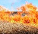 В Охе выгорело 50 квадратов травы и мусора