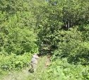 Следком возбудил уголовное дело по факту гибели мужчин от лап медведя