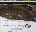 Свежую рыбку по доступным ценам предлагают южносахалинцам