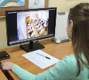 За сахалинскими участниками ЕГЭ будут наблюдать через онлайн-камеры