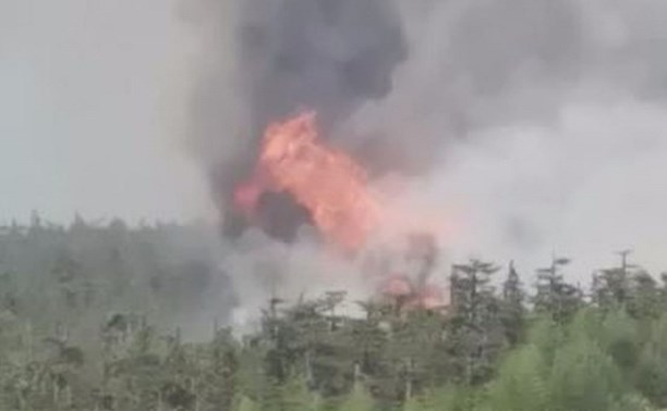 "Капитально горит": сахалинцы сняли лесной пожар с дороги