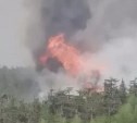 "Капитально горит": сахалинцы сняли лесной пожар с дороги