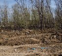 Организатор стихийной свалки в Дальнем пытался "замять" следы из мусора