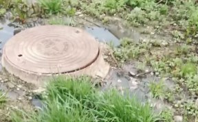 Общество