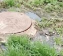 В Южно-Сахалинске две недели борются с канализационными стоками, которые текут в реку Уюн