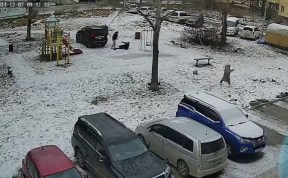 Происшествия