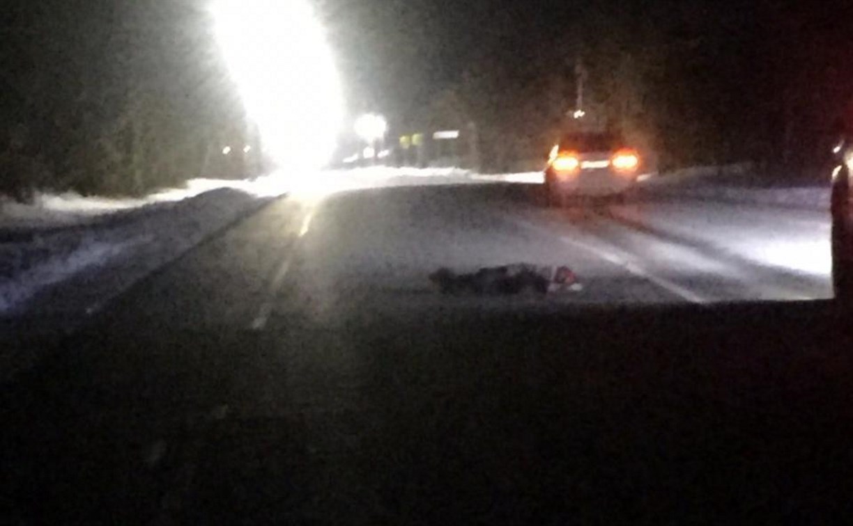 Автомобиль насмерть сбил велосипедиста и скрылся с места происшествия в Холмском районе
