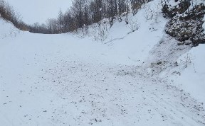 Общество