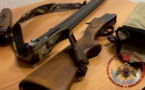 Происшествия