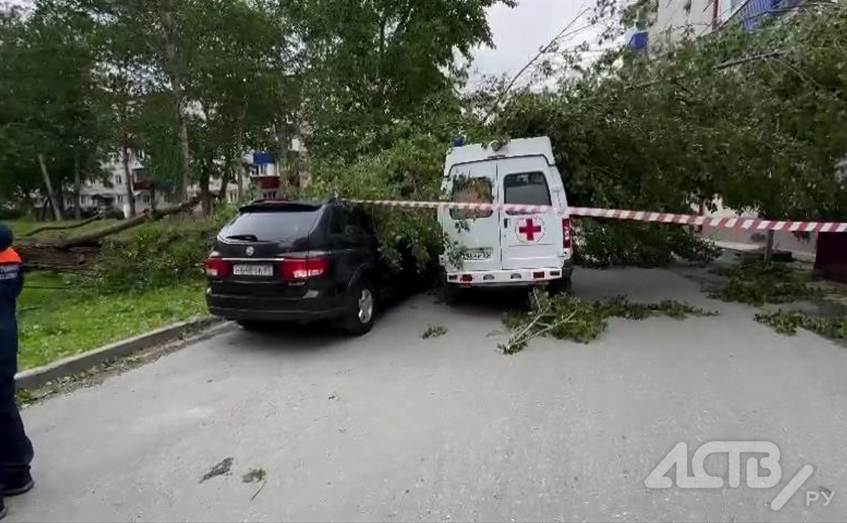 Дерево упало на автомобиль скорой помощи и легковушку в Южно-Сахалинске