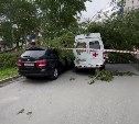 Дерево упало на автомобиль скорой помощи и легковушку в Южно-Сахалинске