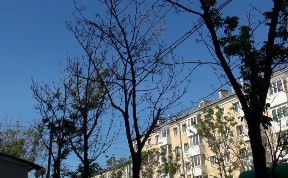 Общество