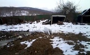 Общество