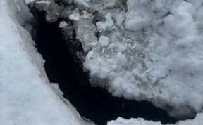 Общество