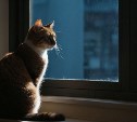 Отключения света 21 января на Сахалине коснутся двух городов и нескольких сёл