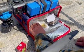 Общество