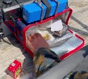 На Сахалине дрон доставил еду из кафе за 15 минут