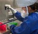 На Сахалине выявили 350 случаев гриппа