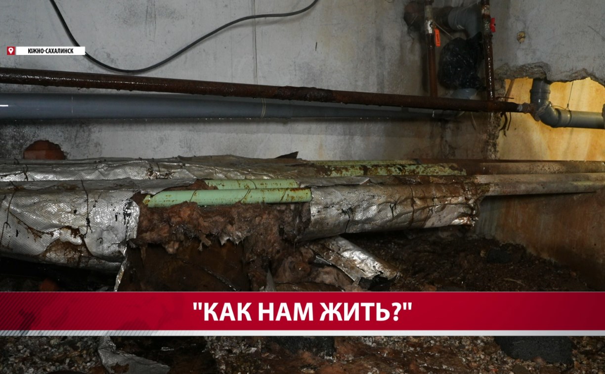 "Ржавые трубы, мошки и фекалии": южносахалинцы бьют тревогу из-за состояния своего подвала