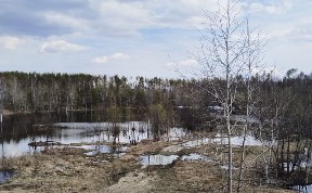 Общество