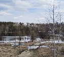 На Сахалине похолодает: районам 30 мая предвещают пасмурную и дождливую погоду