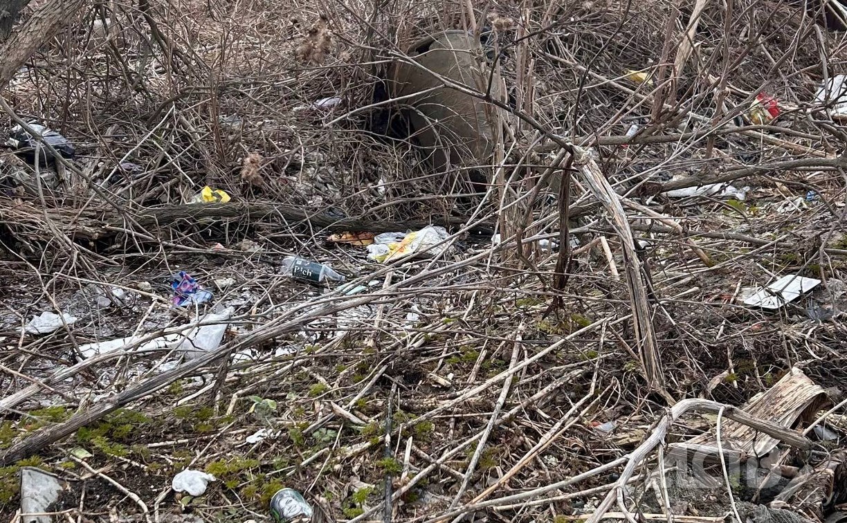 Претендента на звание "самый замусоренный уголок города" нашли в Южно-Сахалинске
