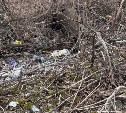 Претендента на звание "самый замусоренный уголок города" нашли в Южно-Сахалинске