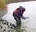 Сотрудники рыбнадзора на Сахалине спасли утку из браконьерских сетей