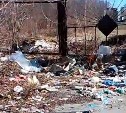 "Помогите нам": непобедимую годами свалку в Большой Елани вновь не смогли одолеть 