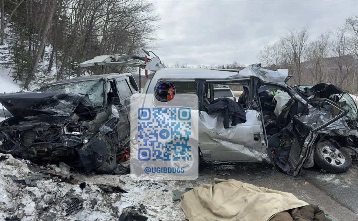Вылетел на встречку: стали известны подробности смертельного ДТП в Анивском районе 