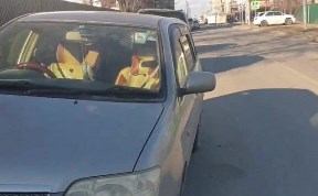 Общество