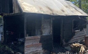 Происшествия