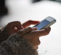 "Не лишайте людей связи": депутаты просят сохранить звонки в WhatsApp* и Telegram