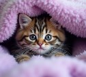 Отопление и горячую воду отключат в нескольких домах в Южно-Сахалинске