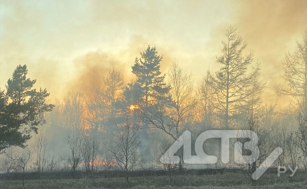 Трава горит в районе СНТ "Тимирязевское" в районе Новоалександровска