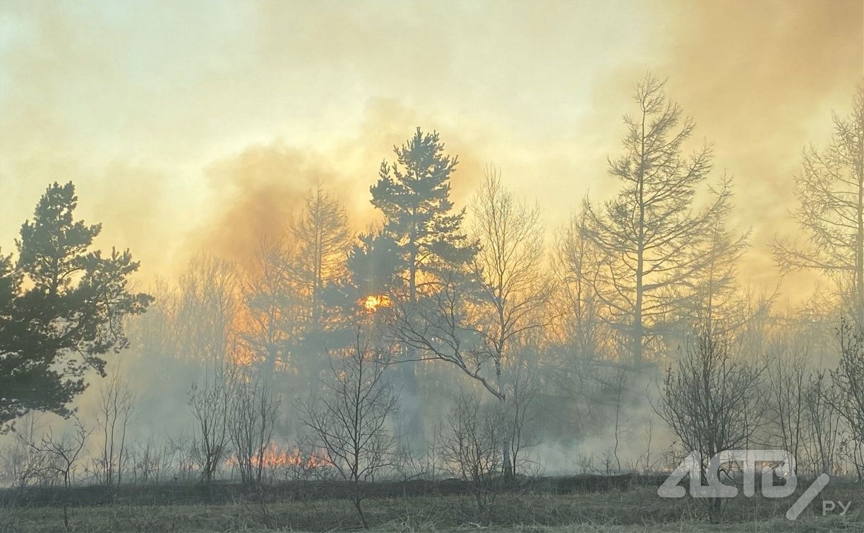 Трава горит в районе СНТ "Тимирязевское" в районе Новоалександровска
