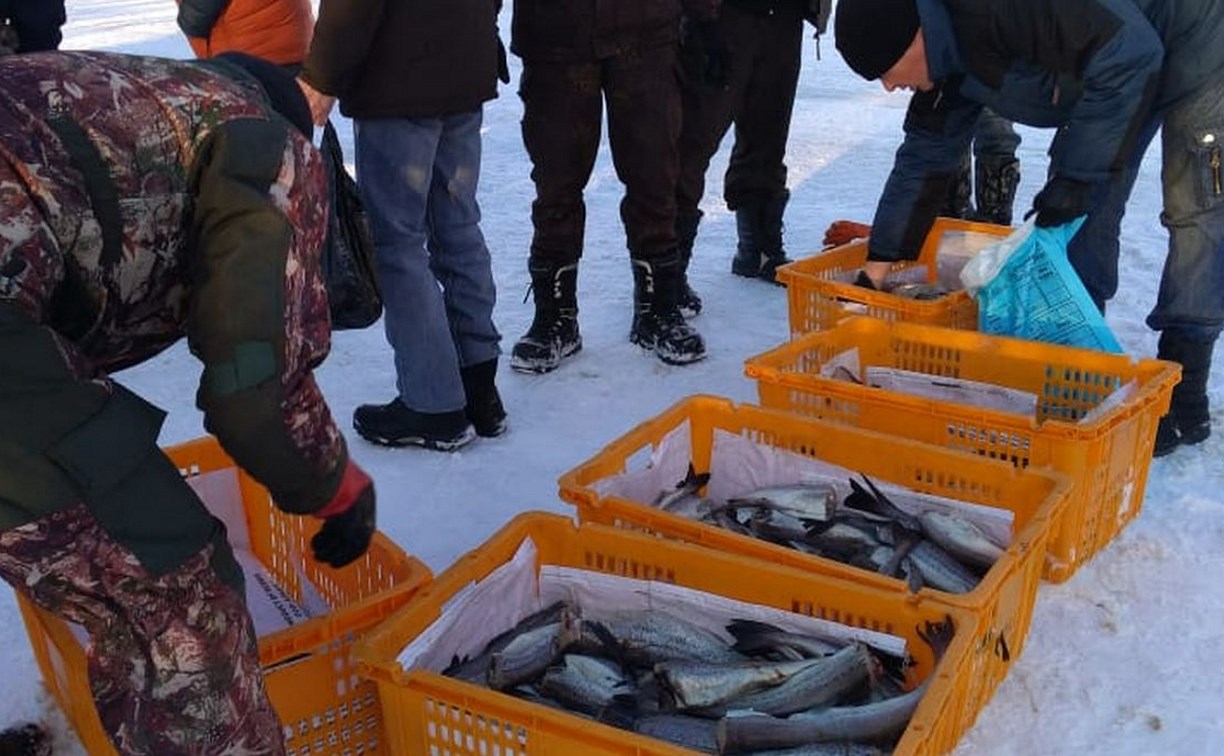 Свежие новости на аств. Раздача рыбы. Происшествие Северо Курильск. Северо-Курильск соревнование на день рыбака. Рыбы протестуют.