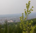 Пасмурно, но тепло: какой будет погода в каждом районе Сахалинской области 14 июня