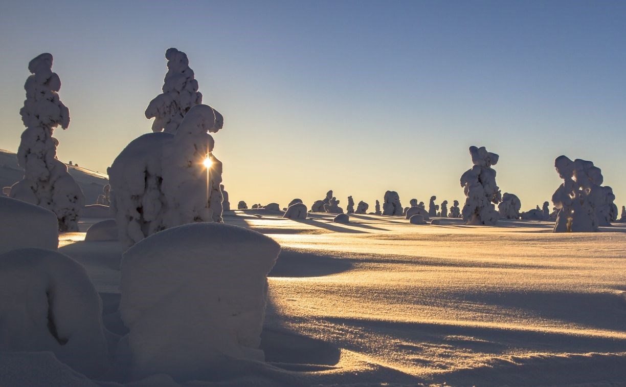 Солнечно, но ужасно холодно: прогноз погоды для Сахалинской области на 10 февраля