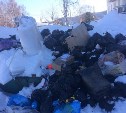 В Южно-Сахалинске появятся 19 мобильных контейнерных площадок для мусора