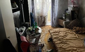 Происшествия