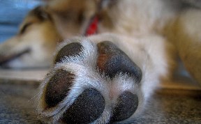 Происшествия