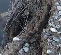 "Меня скоро смоет": река в Южно-Сахалинске рушит берег и подходит к частному дому