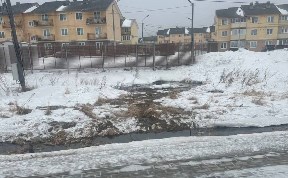 Происшествия