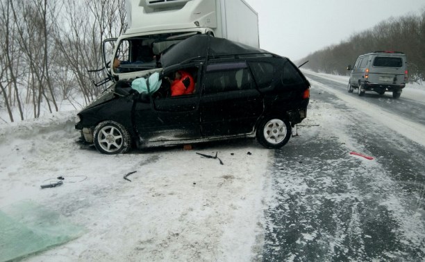 Мужчина погиб при столкновении рефрижератора и Toyota Ipsum в Анивском районе