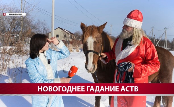 Сахалинская лошадь Астра предсказала изменение стоимости жилья в 2026 году