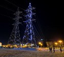 Южно-Сахалинск украсился новогодним арт-объектом высотой 45 метров