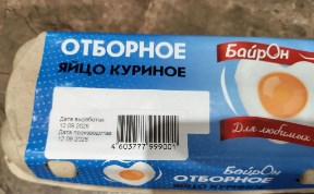 Общество