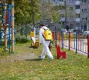 Территории детских садов и школ Южно-Сахалинска обрабатывают от клещей