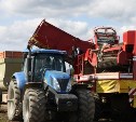 Сахалинские фермеры успели до дождей собрать 9 тысяч тонн картофеля